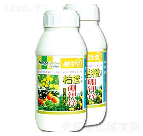 �۳�����\ ֲ���� �R������