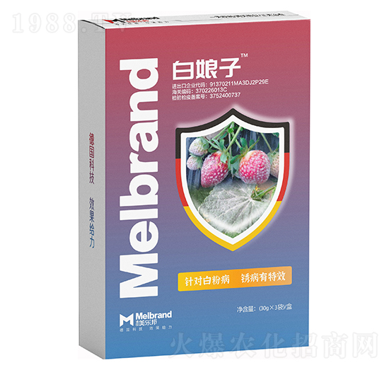 �׷۲����P����Ч ������ ����(l��)��