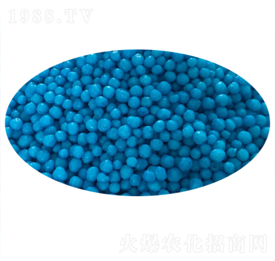 �������أ��{���Z��