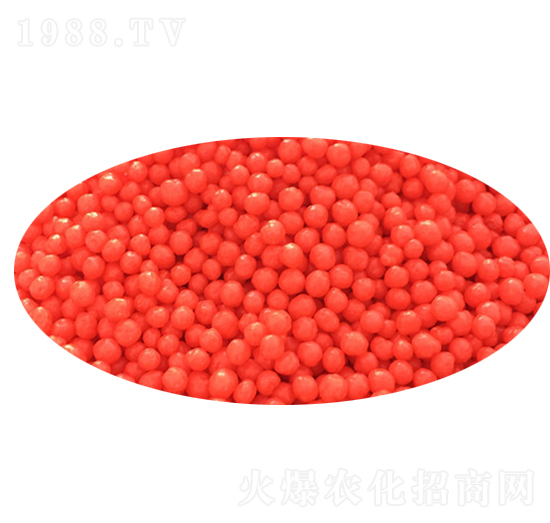 ��������-�Z��