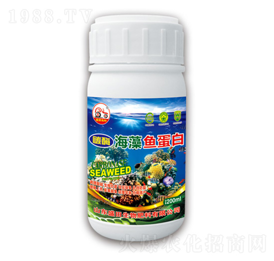 ̼ø�����~����-ʢ������