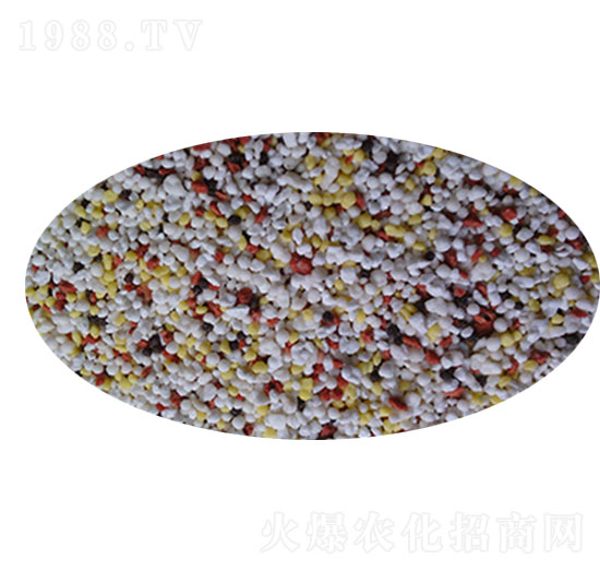 ���죨BB������-����