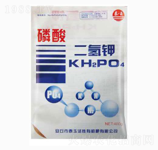 ��������-̩��ʘI(y��)