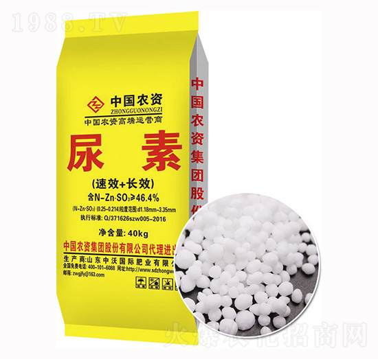 ���w������-����