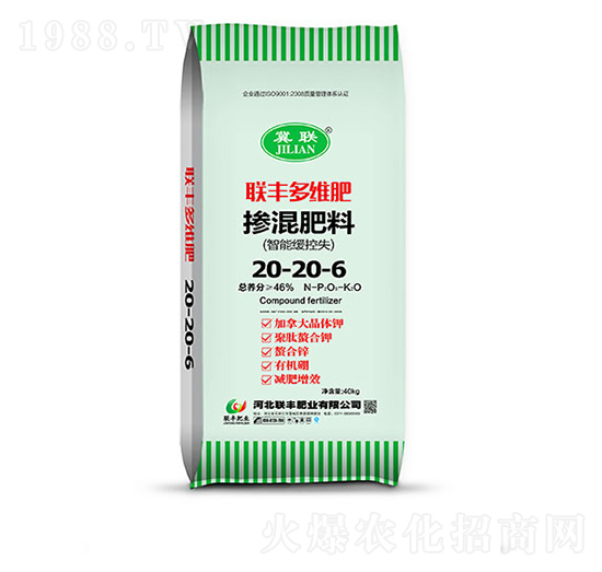 �������20-20-6-(li��n)�S��S��-(li��n)�S�ʘI(y��)