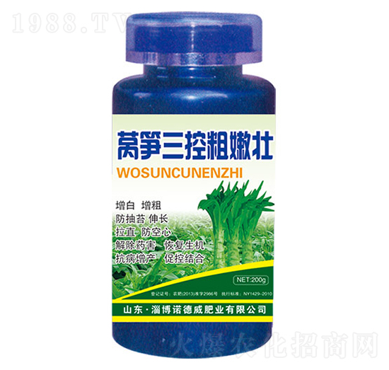 �n�S���ش��ۉ�-�Z����