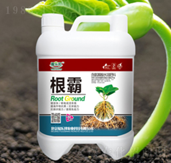 ����-������