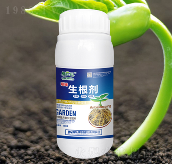 ����������-������