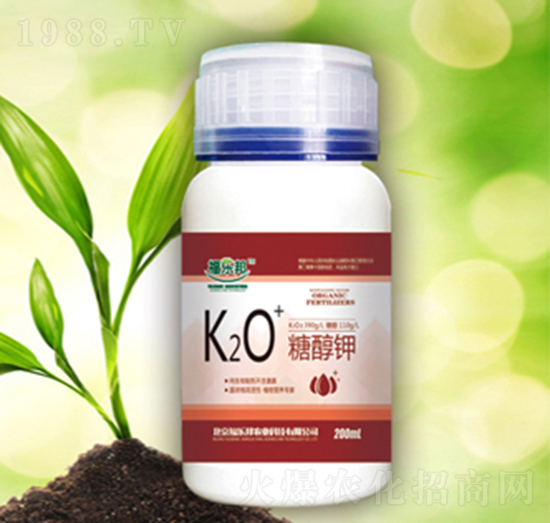 200ml�Ǵ��-������