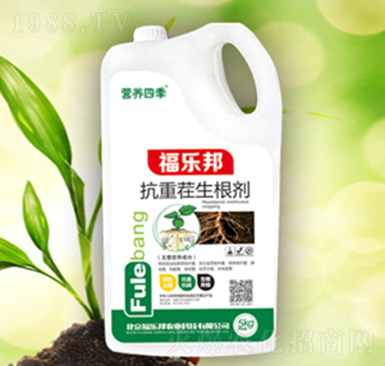 �I(y��ng)�B(y��ng)�ļ����ز�������-������