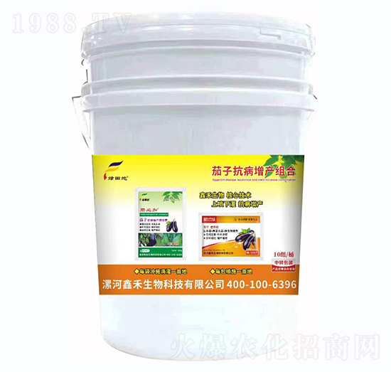 ���ӿ������a�M��-�G���-�κ�����