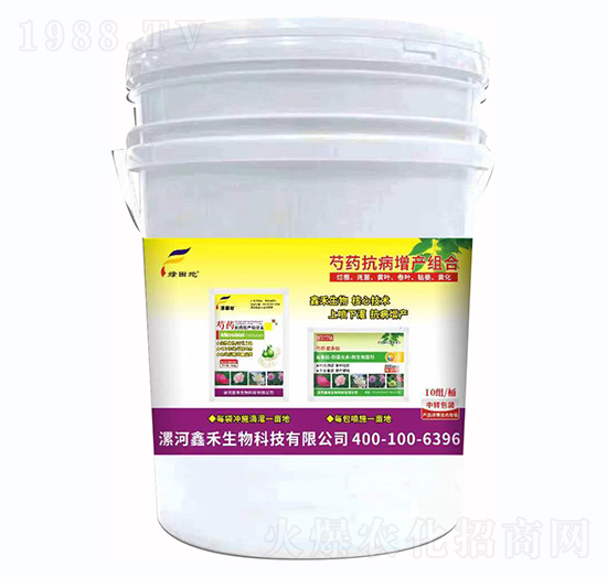 ��ˎ�������a�M��-�G���-�κ�����