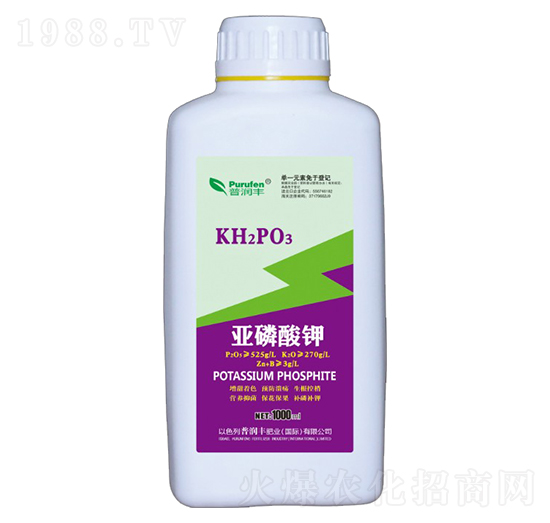 �������-�՝��S