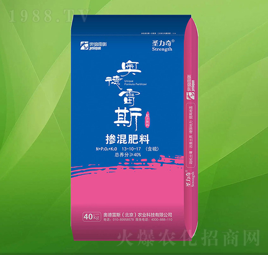 �������13-10-17-ʥ����-�W����˹