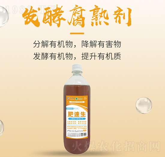 �l(f��)�͸��섩-������-���S����