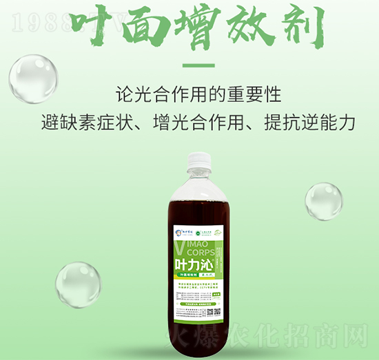 �~����Ч��-�~����-���S����