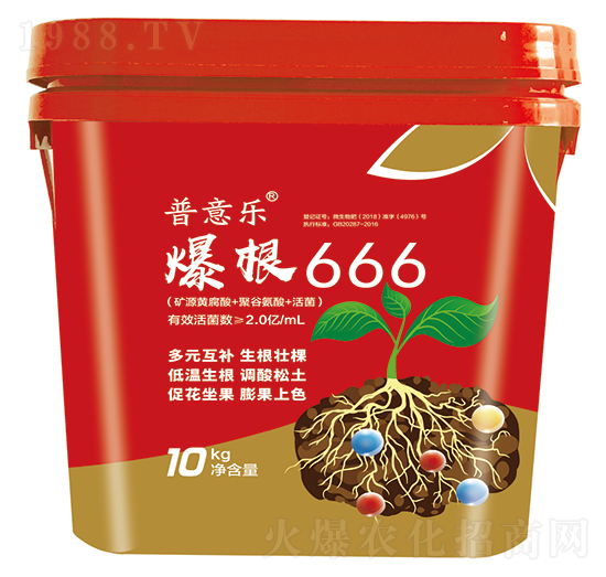 ����666-���☷-�Ơ���˹