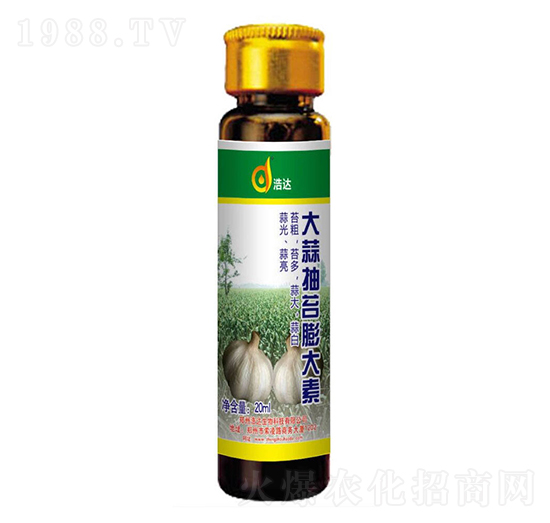 ������_(t��i)�����-���_(d��)����