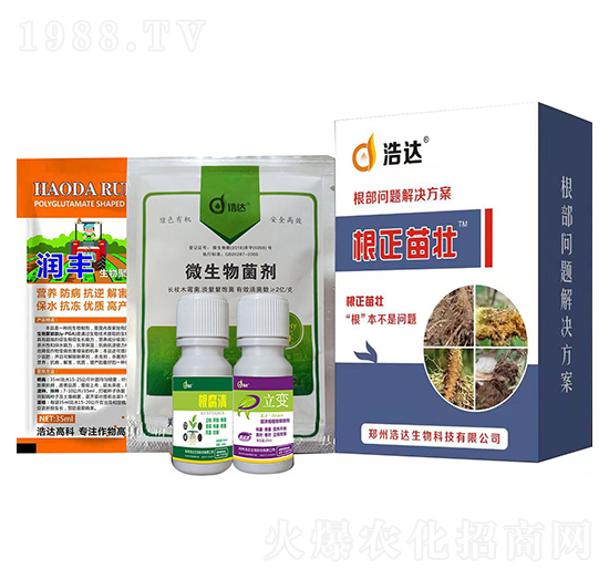 �������-���_(d��)����