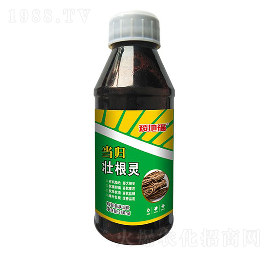 ���w�Ѹ��`-���_����