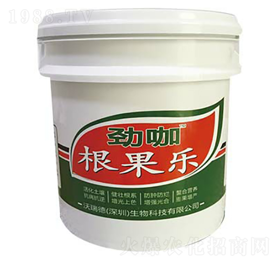 ������(l��)-�ſ�-���������