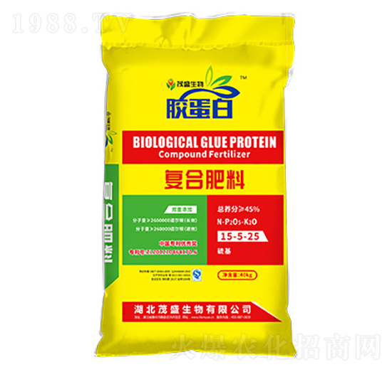 �z���׏�(f��)�Ϸ���15-5-25-ïʢ����