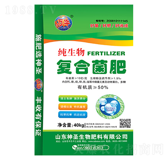 �ͺϾ���-��ʥ����