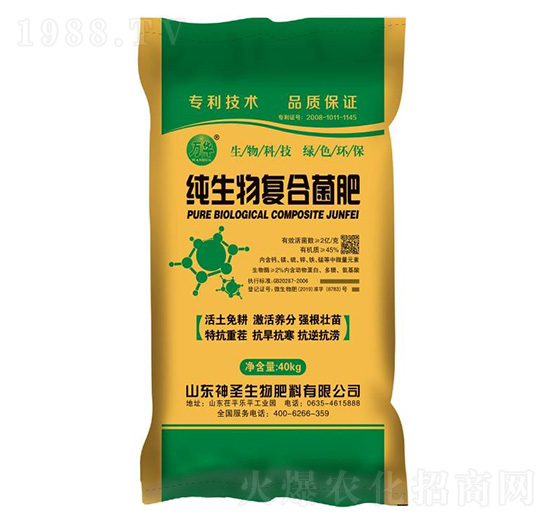 ������ͺϾ���-��ʥ����