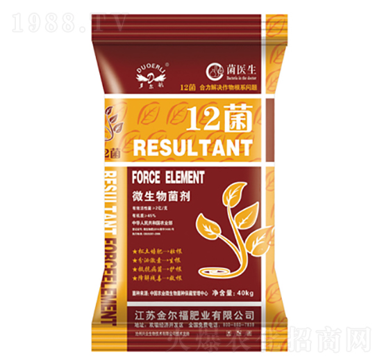 ΢�������-12��-�𠖸��ʘI(y��)