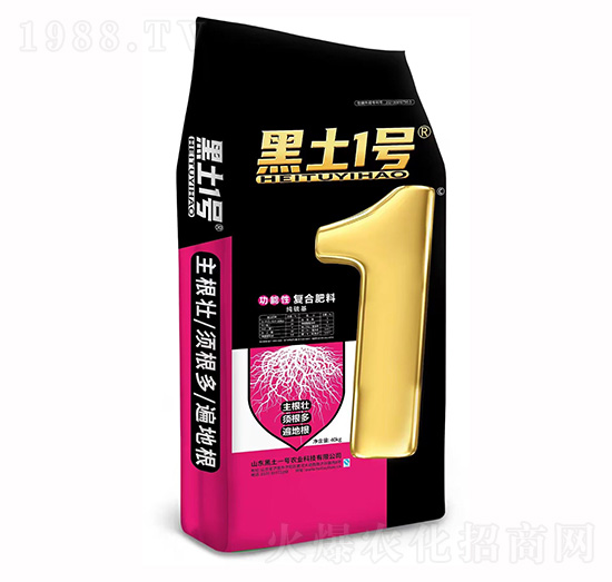 ����������ԏ�(f��)�Ϸ���-����1̖(h��o)