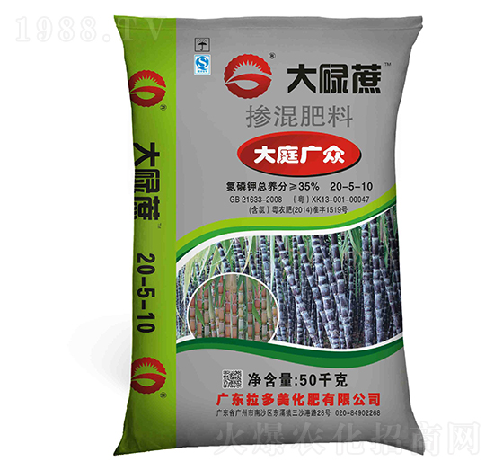 �������20-5-10-��µ�ᡤ��ͥ�V��-������