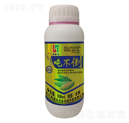 ������-��ʢ�_(d��)