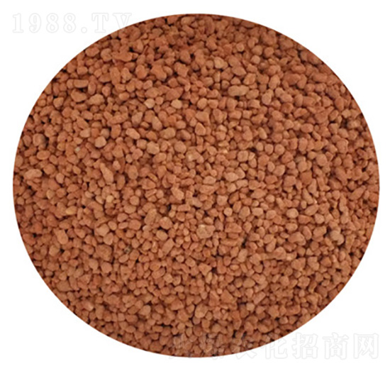 ���@���ʣ�С�w����-��ͨ�ʘI(y��)