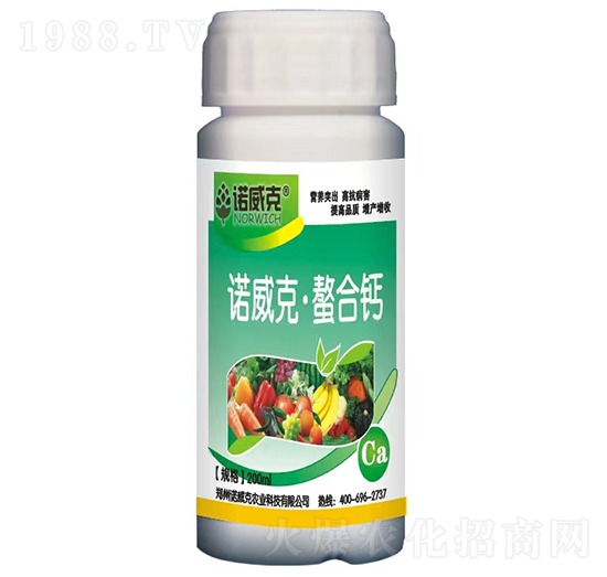 �Z���ˡ������}-�Z����