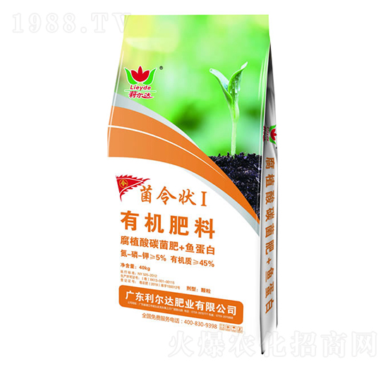 �ЙC����-�����I-�����_�ʘI(y��)