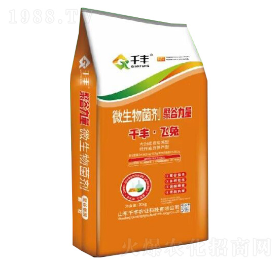 ΢�������-�۹�����-ǧ�S���w��-ǧ�S�r(n��ng)�I(y��)