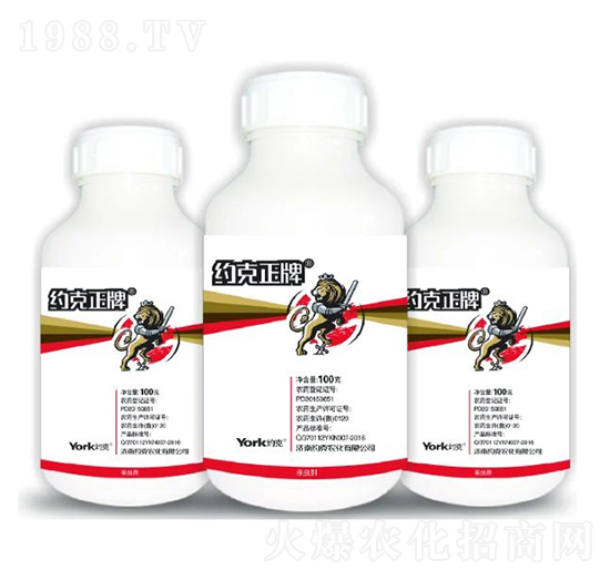 8%���x��Ҹ��N��-�s������-�s���r��