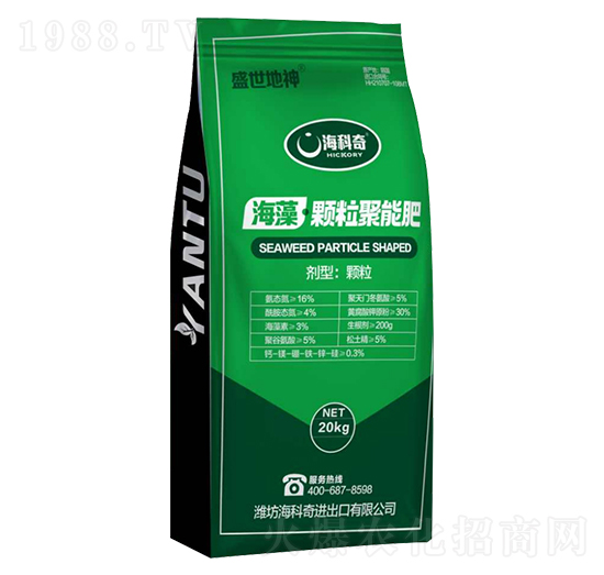 �����w�����ܷ�-ʢ������-������