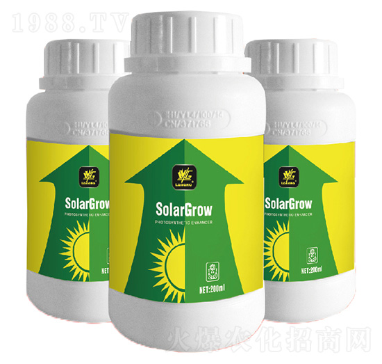 ���������-�����_-�����_