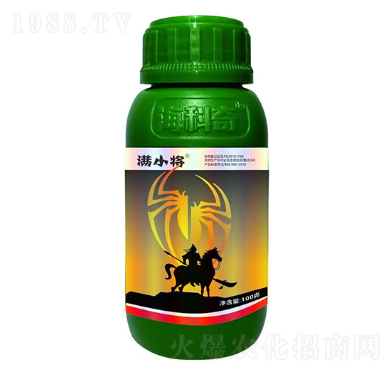 20%������-�MС��-������