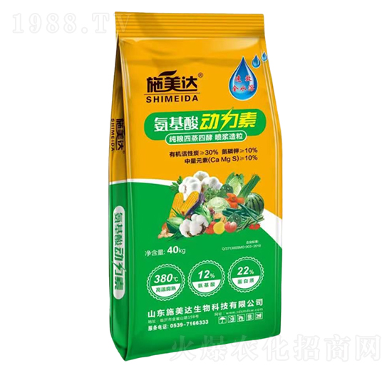 �����������-ʩ���_