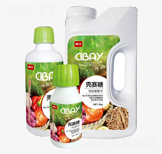 ΢�z�ґҸ�������-�̶�����