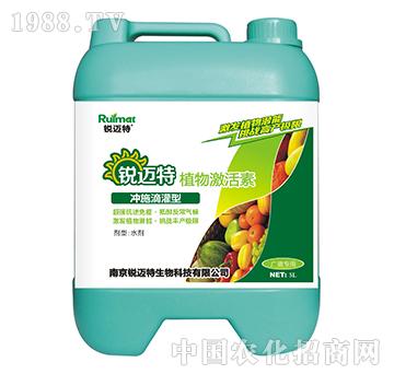 ֲ�Ｄ���؛_ʩ�ι���-