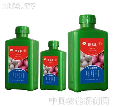 �������[���ð���������