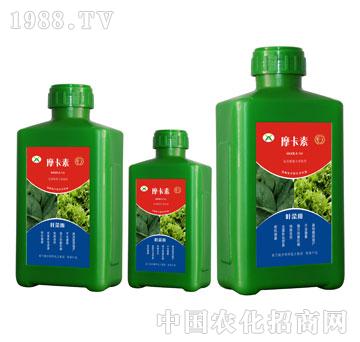 �~�ˌ��ð���������Һ��