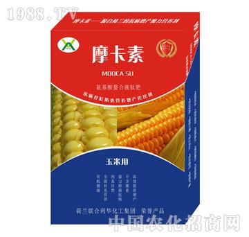 ���׌��ð���������Һ��