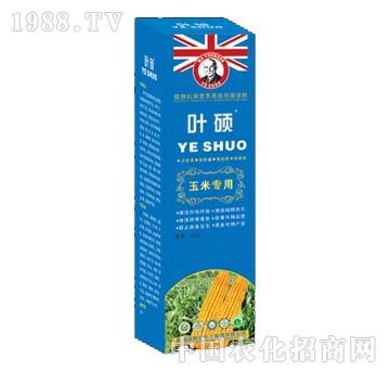 ���׌���-�~�T-��ķ��