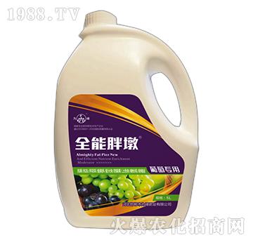 ȫ���ֶ�-���ь���-��