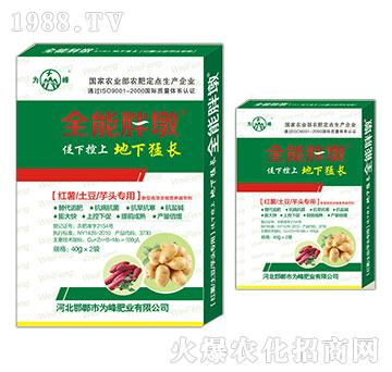 �t�������������^����-