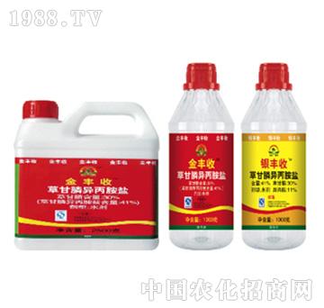 41%�ݸ�좮������}-���{